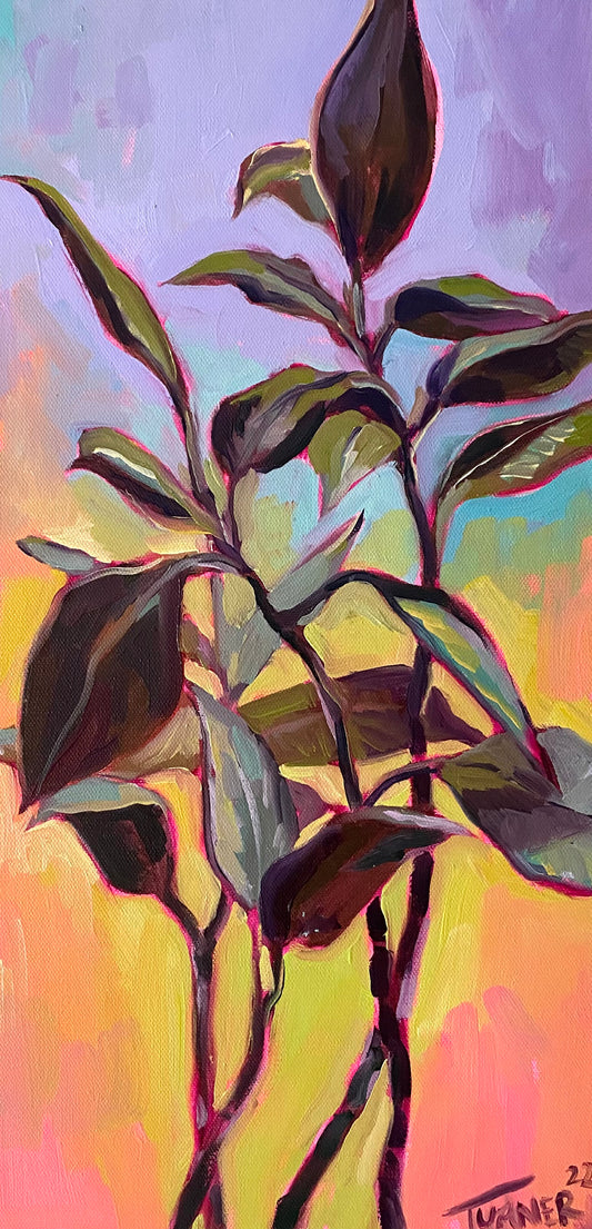 Rainbow Rubber Tree, 20 x 10 inch original oil on canvas