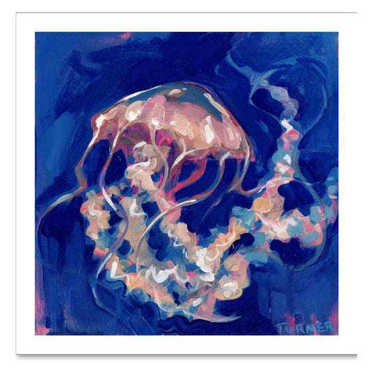 Pacific Sea Nettle - 8 x 8 inch Fine Art Giclee Print